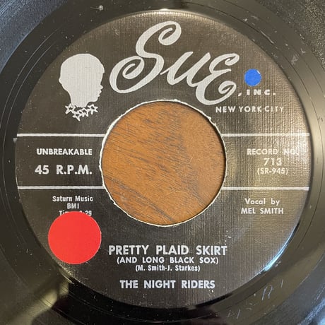 THE NIGHT RIDERS / Pretty Plaid Skirt