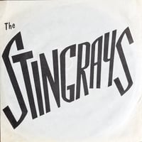 THE STINGRAYS / Countdown
