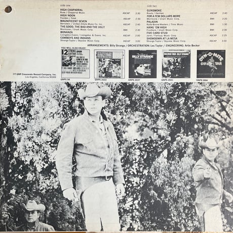 BILLY STRANGE HIS GUITAR AND ORCHESTRA / Great Western Themes