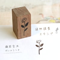 植物採集スタンプ：８『梅花空木（バイカウツギ）』