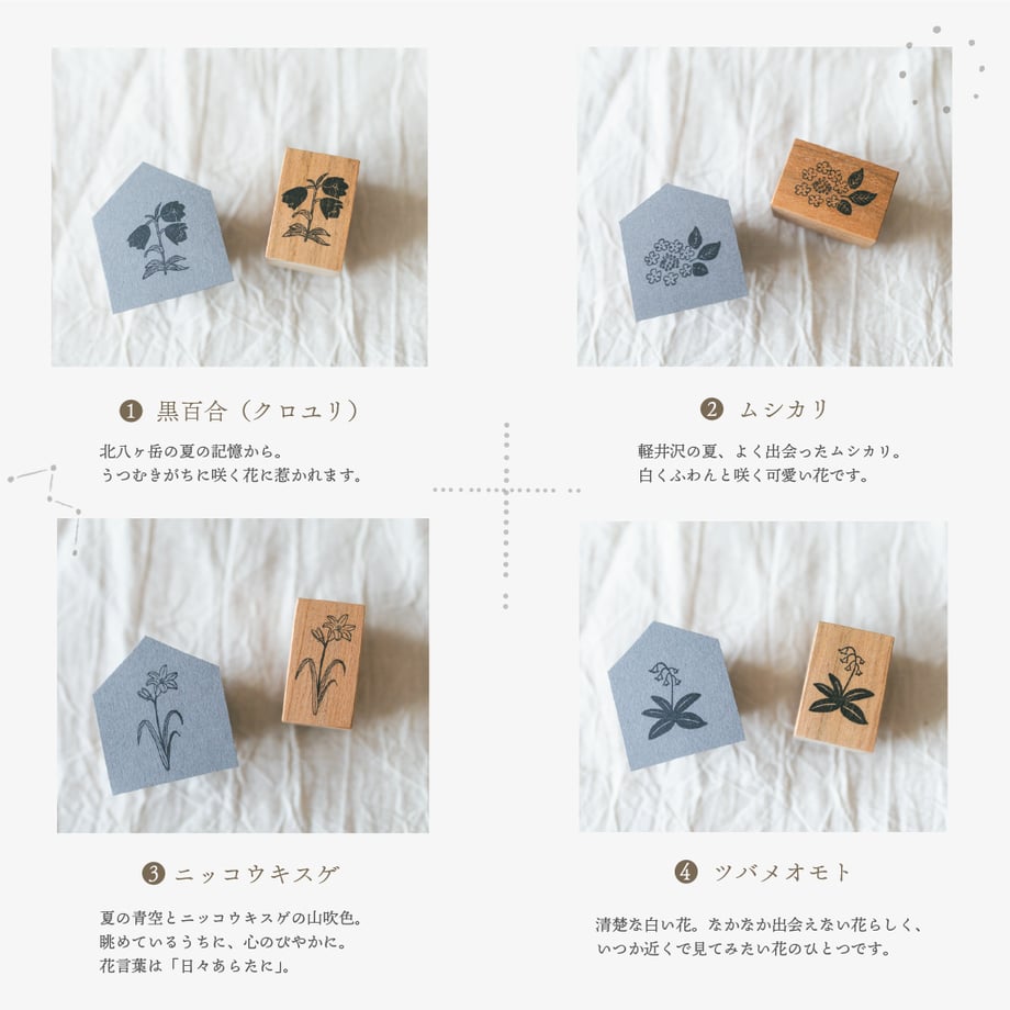 668d23a8e2a988043c90fa67