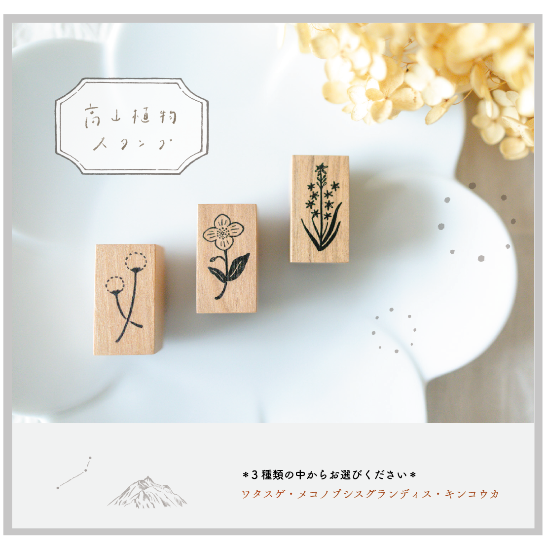 高山植物スタンプ【3種類の中から1個 】ワタスゲ/メコノプシス