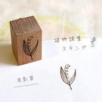 植物採集スタンプ:21『君影草』