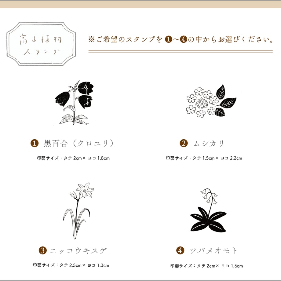 668d23a8e2a988043c90fa67