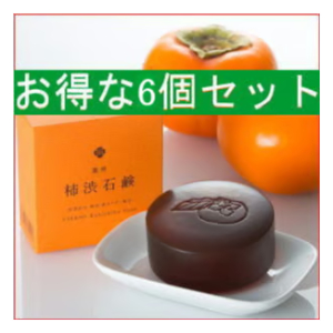 ジャパンギャルズ エテルノ 薬用 柿渋石鹸 ジャパンギャルズSC 薬用柿渋石鹸×6個セット【送料無料