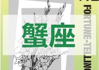 ＜バックナンバーです＞　まーさの　「#2025年下半期占い帳 7-12月分」蟹座　電子書籍（PDF）
