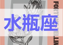＜バックナンバーです＞　まーさの　「#2025年上半期占い帳 1-6月分」水瓶座　電子書籍（PDF）
