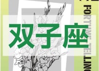 ＜バックナンバーです＞　まーさの　「#2025年下半期占い帳 7-12月分」双子座　電子書籍（PDF）