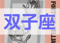 ＜バックナンバーです＞　まーさの　「#2025年上半期占い帳 1-6月分」双子座　電子書籍（PDF）