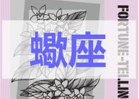 ＜バックナンバーです＞　まーさの　「#2026年上半期占い帳 1-6月分」蠍座　電子書籍（PDF）
