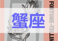 ＜バックナンバーです＞　まーさの　「#2025年上半期占い帳 1-6月分」蟹座　電子書籍（PDF）