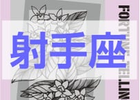 ＜バックナンバーです＞　まーさの　「#2026年上半期占い帳 1-6月分」射手座　電子書籍（PDF）