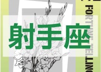 ＜バックナンバーです＞　まーさの　「#2025年下半期占い帳 7-12月分」射手座　電子書籍（PDF）