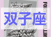 ＜バックナンバーです＞　まーさの　「#2026年上半期占い帳 1-6月分」双子座　電子書籍（PDF）