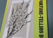#2025年下半期占い帳　冊子版（アストロおみくじ付き）在庫限り