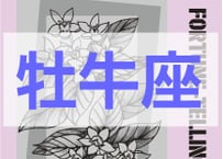 ＜バックナンバーです＞　まーさの　「#2026年上半期占い帳 1-6月分」牡牛座　電子書籍（PDF）
