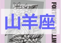 ＜バックナンバーです＞　まーさの　「#2026年上半期占い帳 1-6月分」山羊座　電子書籍（PDF）