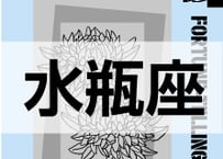 ＜バックナンバーです＞まーさの　「#2024年上半期占い帳」　水瓶座　電子書籍（PDF）