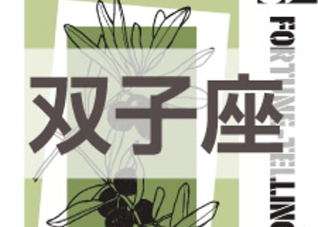 まーさの　「#2026年下半期占い帳 7-12月分」双子座　電子書籍（PDF）