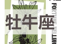 まーさの　「#2026年下半期占い帳 7-12月分」牡牛座　電子書籍（PDF）