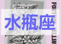 ＜バックナンバーです＞　まーさの　「#2026年上半期占い帳 1-6月分」水瓶座　電子書籍（PDF）