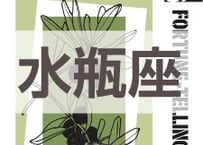 まーさの　「#2026年下半期占い帳 7-12月分」水瓶座　電子書籍（PDF）