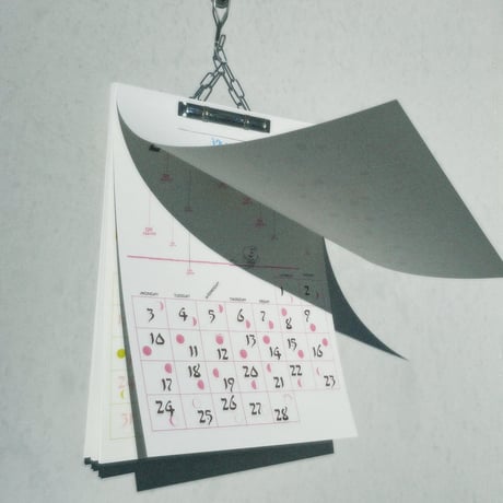 2025 CALENDAR -EVERY DAY IS DIFFERENT-