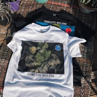 DOMESTIC BIOLENS TEE
