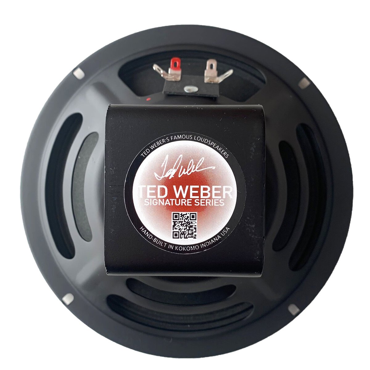WEBER SPEAKER Alnico Signature 8S ウェバー シグネチャー ア