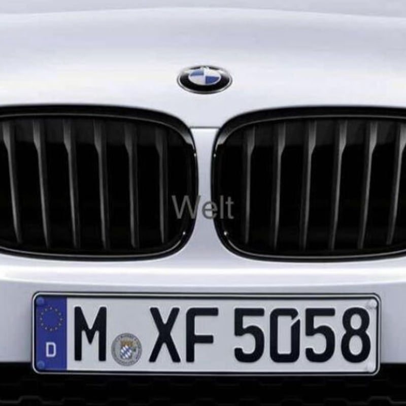 BMW X1 F48 純正グリル車