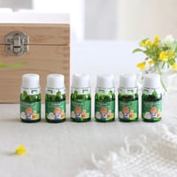 ホームケアのためのアロマの薬箱®講座
