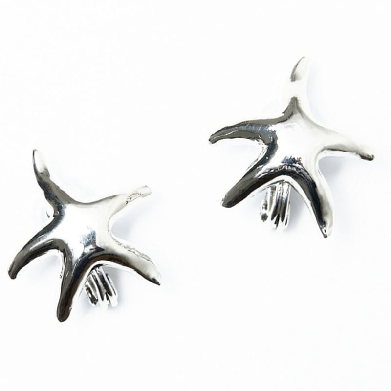 starfish earring | IRIS47 official online store