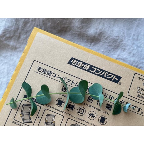 【宅急便コンパクト】春のおやつセット