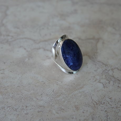 scarabée_r_sodalite