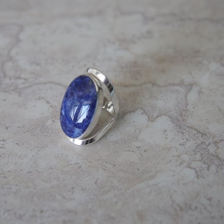 scarabée_r_sodalite