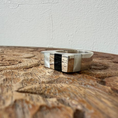 Axis Ring
