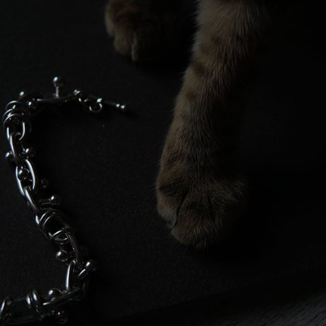 chienowa_bracelet