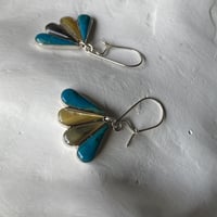 peacock_p