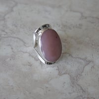 scarabée_r_pinkopal