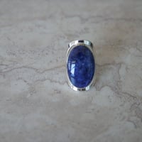 scarabée_r_sodalite
