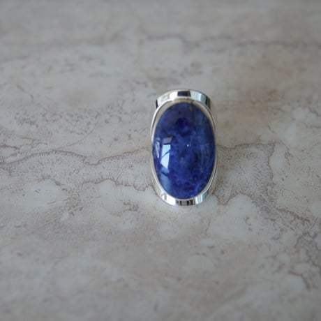 scarabée_r_sodalite