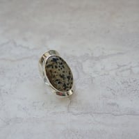 scarabée_r_Dalmatian