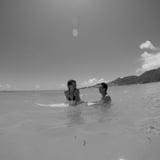 sealiving