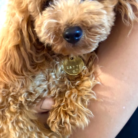 name charm 犬用