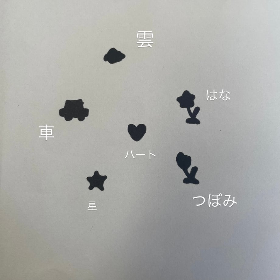 66405f8d54311b168b0857ed