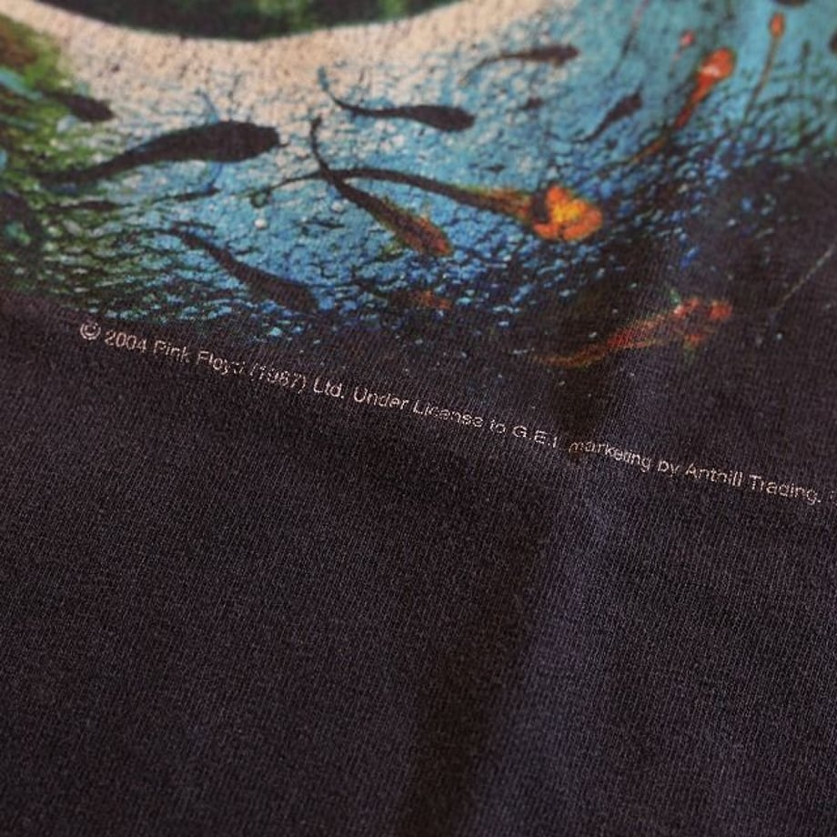 5e86ab792a9a4272d38508a0