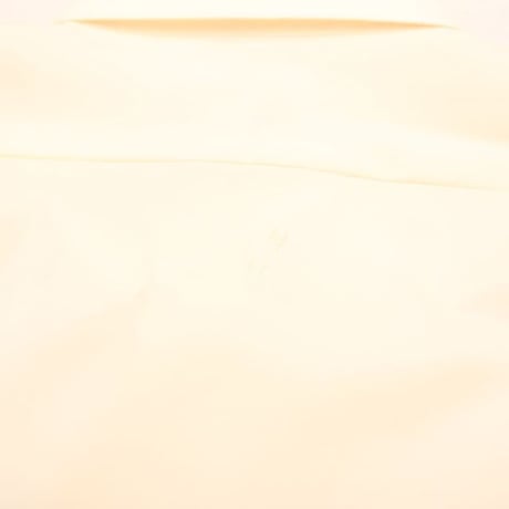 Polyester Plain L/S Shirt