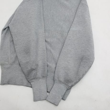 Champion Reverse Weave Plane Sweat Hoodie