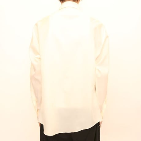 Polyester Plain L/S Shirt