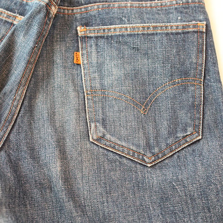 Levis 646 Denim Pants
